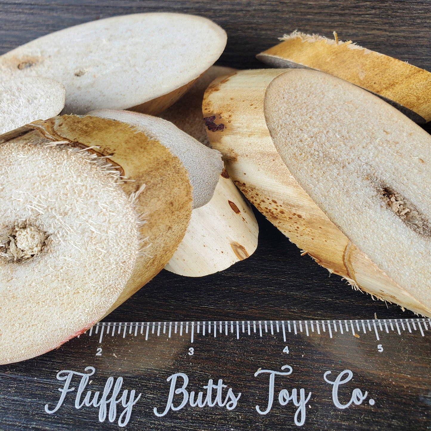 Yucca Wood Slices - 20 Pack - Safe chews for guinea pigs, bunny rabbits, chinchillas, rats and other small animals