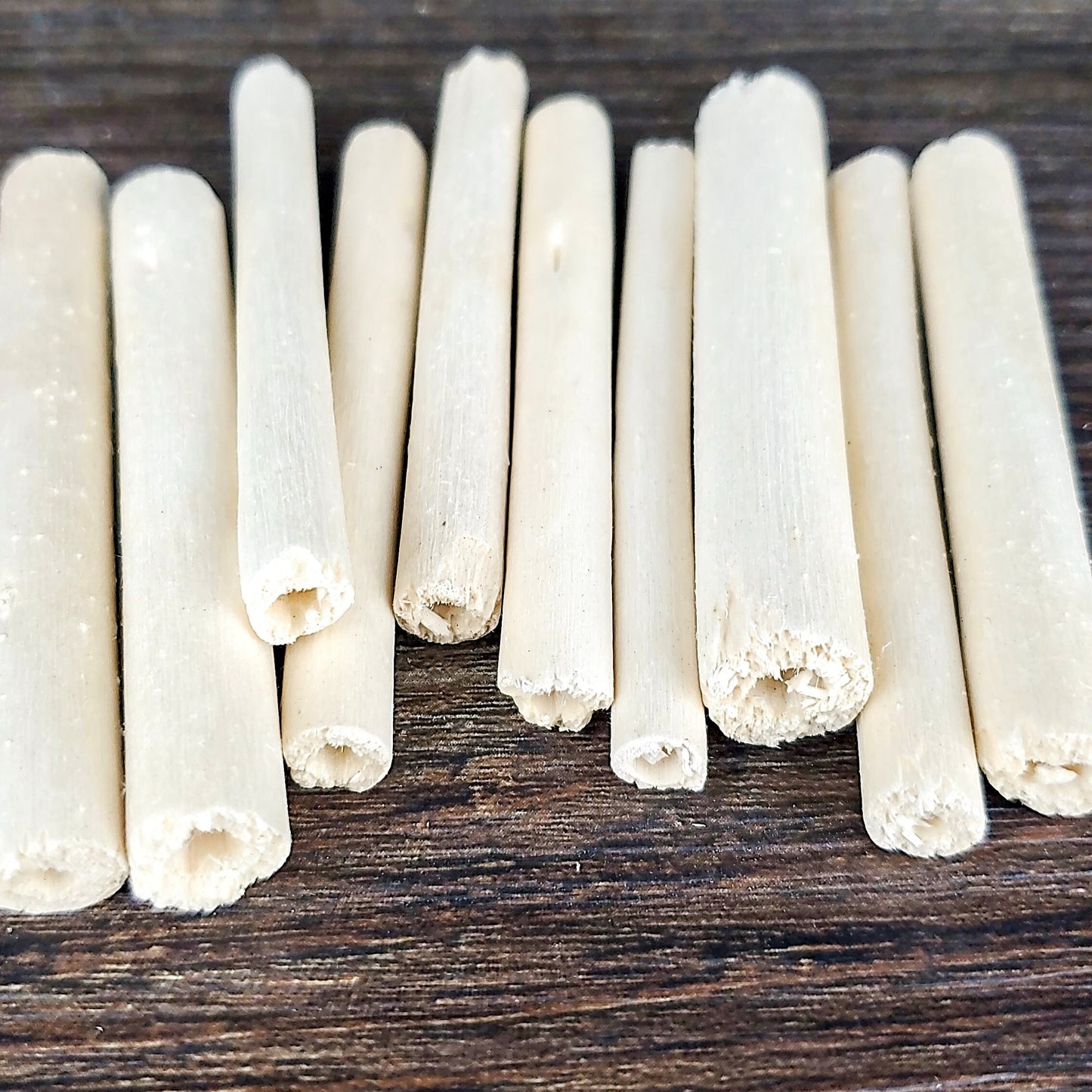 Natural Jute Sticks Without Bark - 10 Pack - Safe chews for guinea pigs, bunny rabbits, chinchillas, rats and other small animals