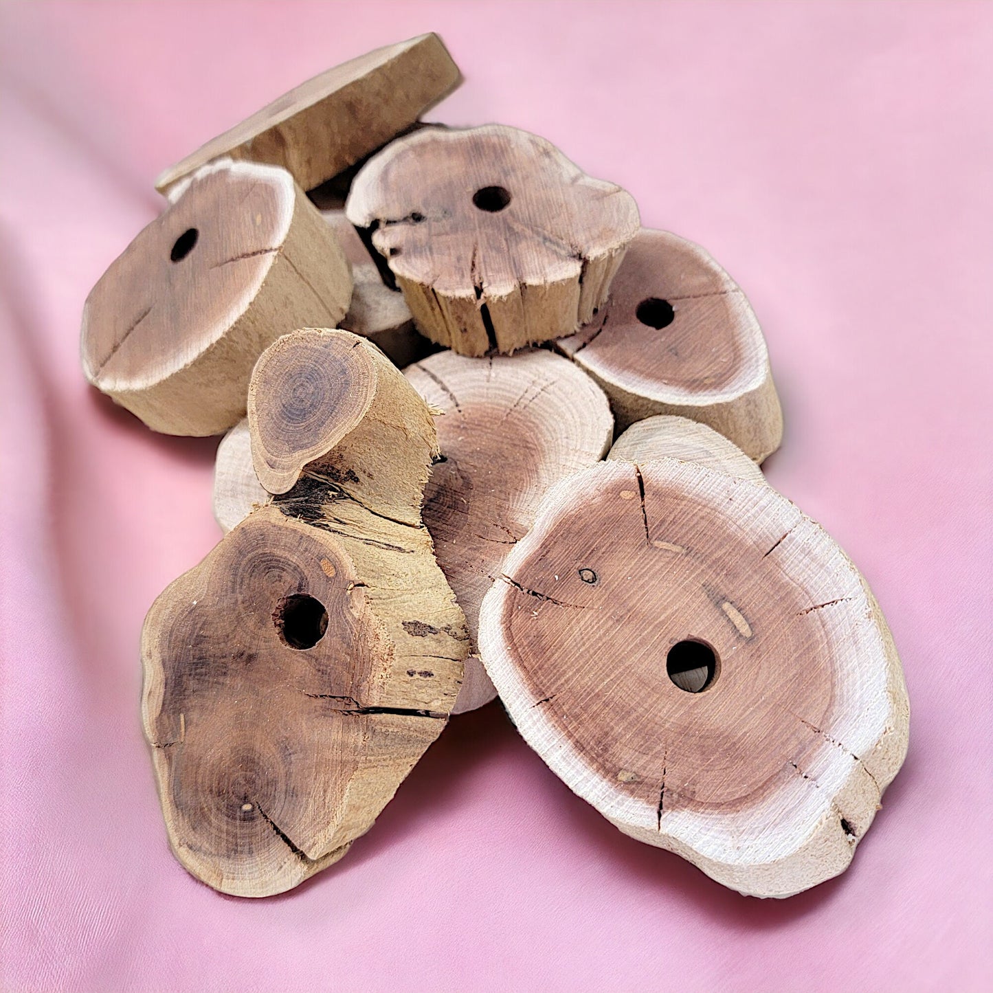 Big Manzanita Slices - 5 Pack - Hardwood Chews for Rabbits