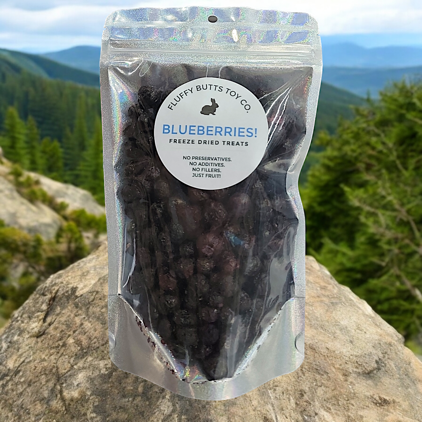 BLUEBERRIES! Preservative-Free Treats for Rabbits & Other Small Pets