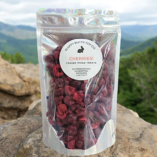 CHERRIES! Preservative-Free Treats for Rabbits & Other Small Pets