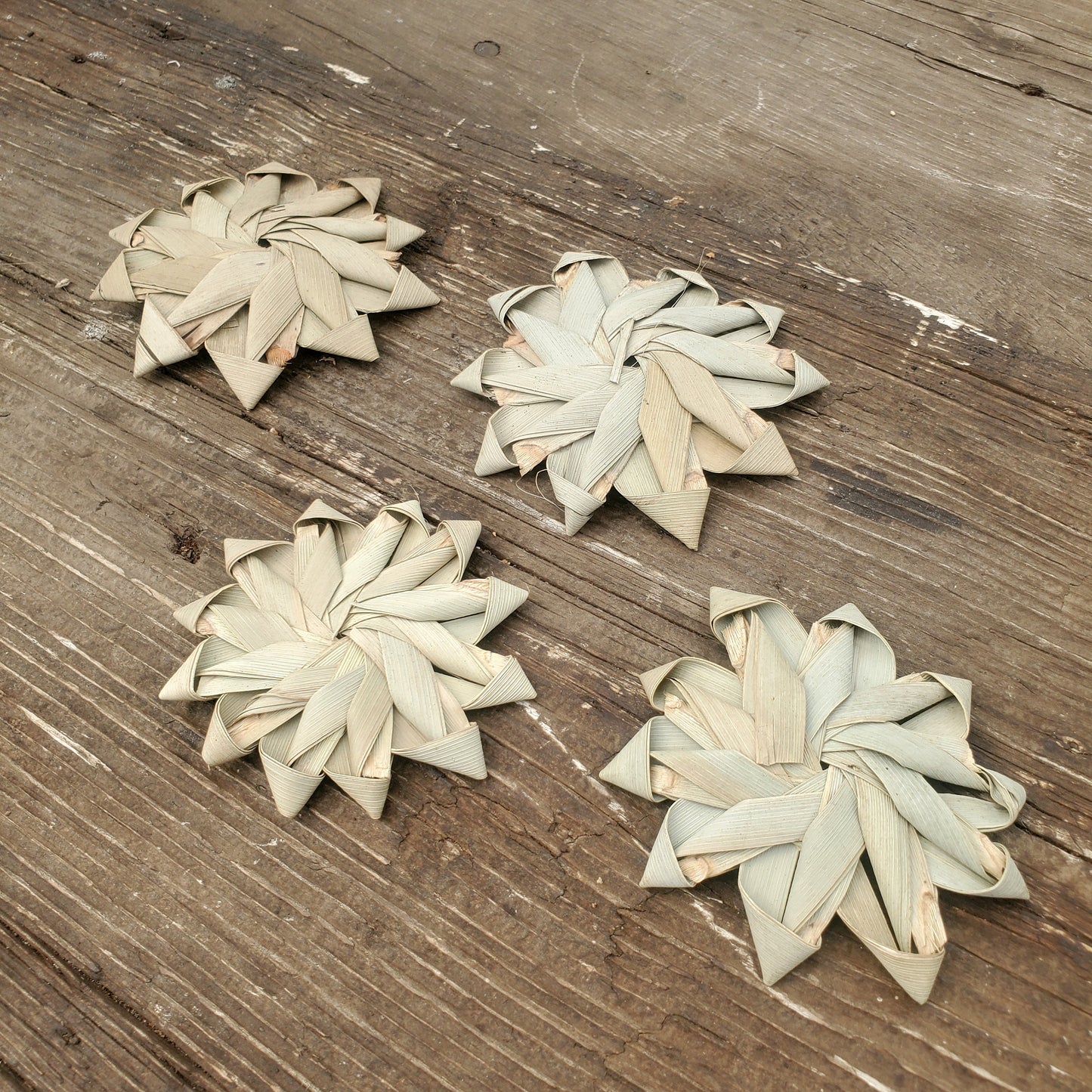 3" Palm Flowers - 10 Pack - Safe chews for guinea pigs, bunny rabbits, chinchillas, rats and other small animals