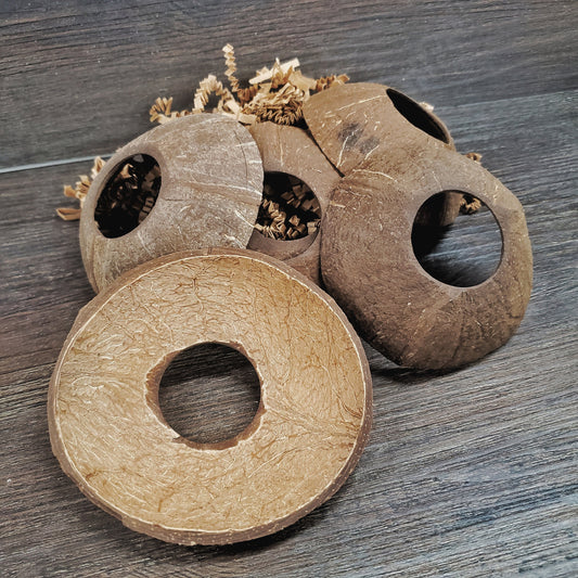 Coconut Rounds - 10 Pack - Safe chews for guinea pigs, bunny rabbits, chinchillas, rats and other small animals