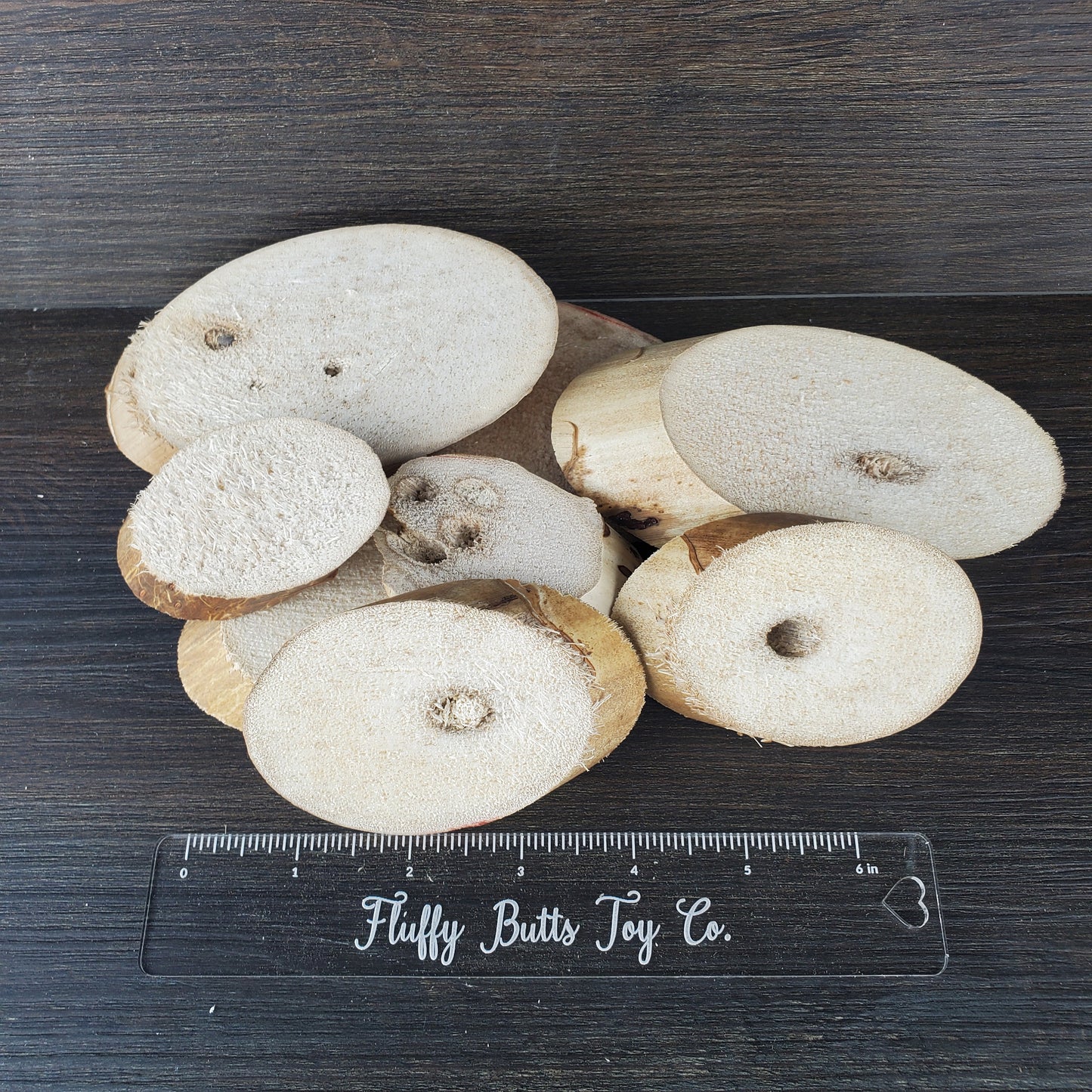 Yucca Wood Slices - 20 Pack - Safe chews for guinea pigs, bunny rabbits, chinchillas, rats and other small animals
