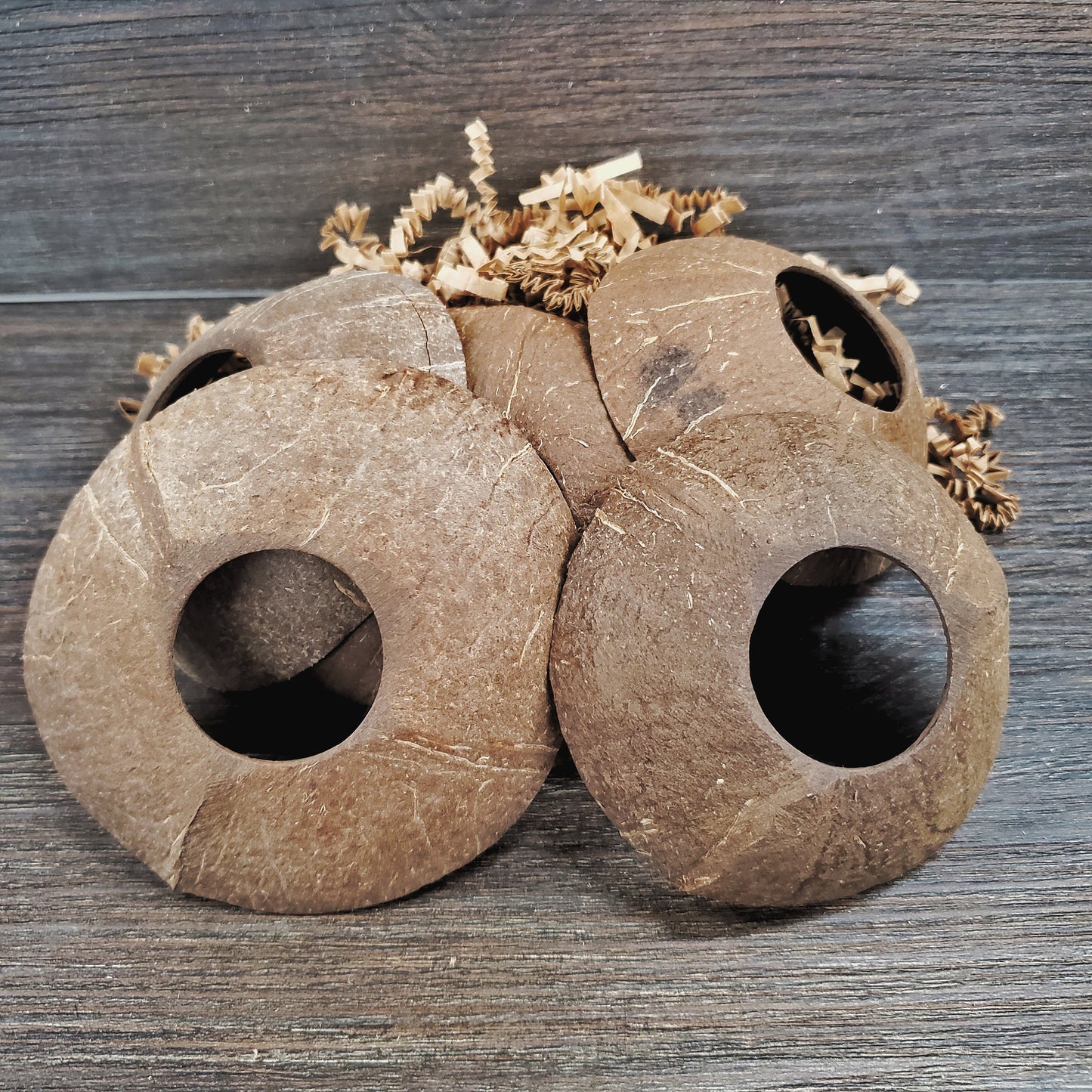 Coconut Rounds - 10 Pack - Safe chews for guinea pigs, bunny rabbits, chinchillas, rats and other small animals