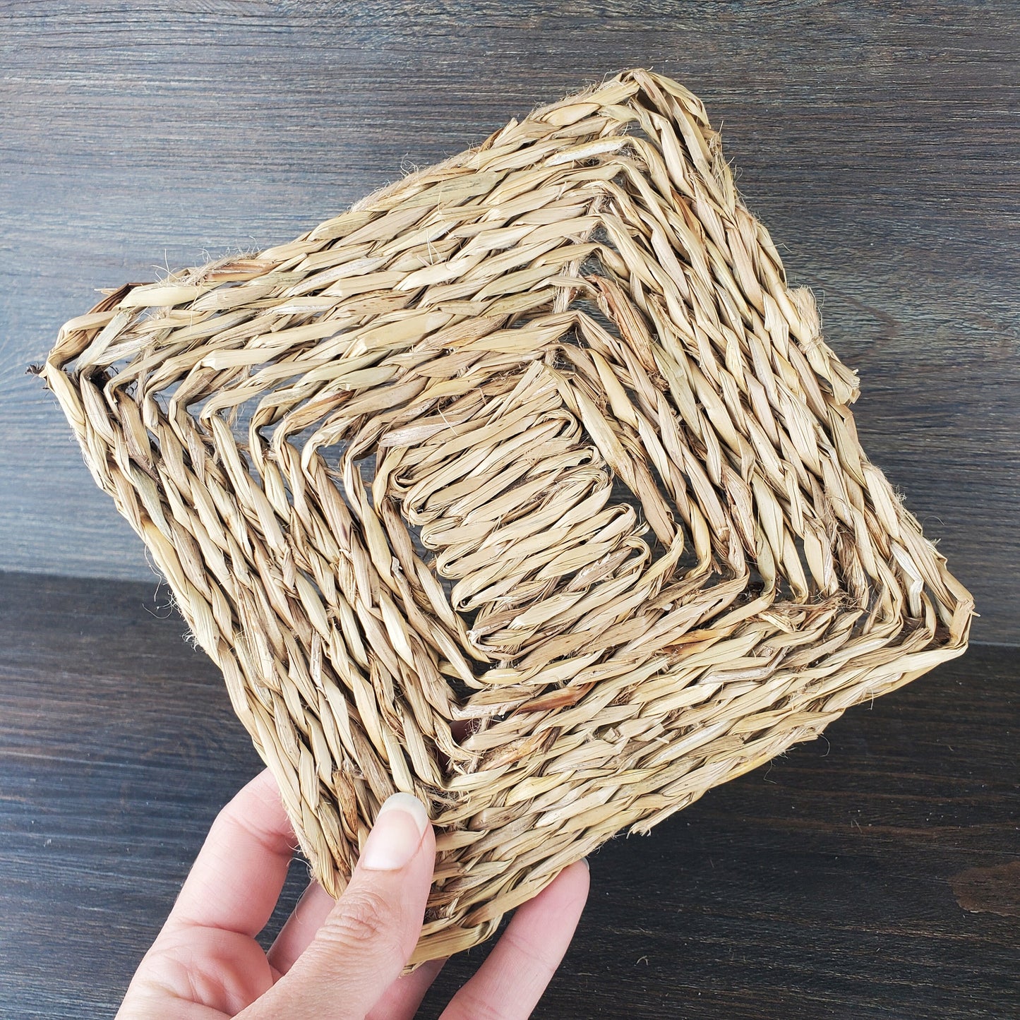 6 Inch Woven Seagrass Mats - 3 Pack - Safe chews for guinea pigs, bunny rabbits, chinchillas, rats and other small animals