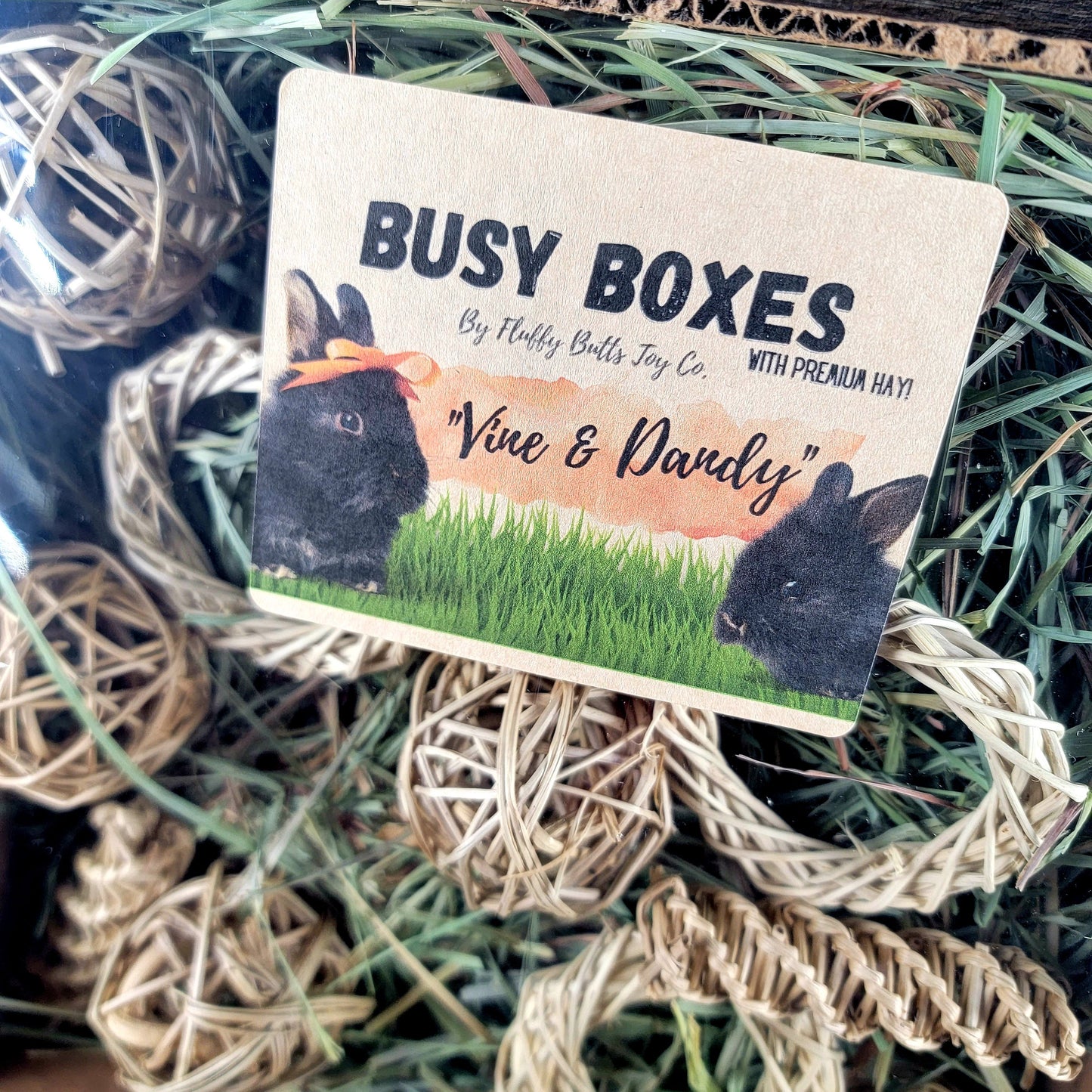 Busy Box #7 (With Hay!) "Vine and Dandy" - Activity Box for Chinchillas, Bunnies, Rabbits, Guinea Pigs, Rats & Other Critters