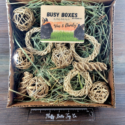 Busy Box #7 (With Hay!) "Vine and Dandy" - Activity Box for Chinchillas, Bunnies, Rabbits, Guinea Pigs, Rats & Other Critters