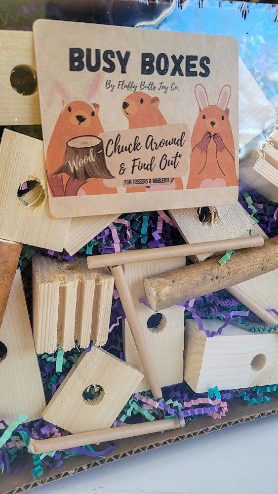 Busy Box #9 - "Chuck Around and Find Out" - Pine Activity Box for Chinchillas, Bunnies, Rabbits, Guinea Pigs, Rats & Other Critters