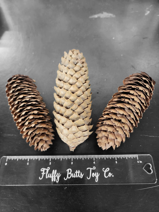 6 Pack Frilly Pine Cones, Chewing for Small Pets