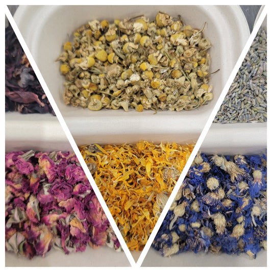 Little Bunny Foo Food - BLUE Blossom Box - Cornflowers & Lavender - Herbal Forage for Rabbits, Bunnies, Chinchillas