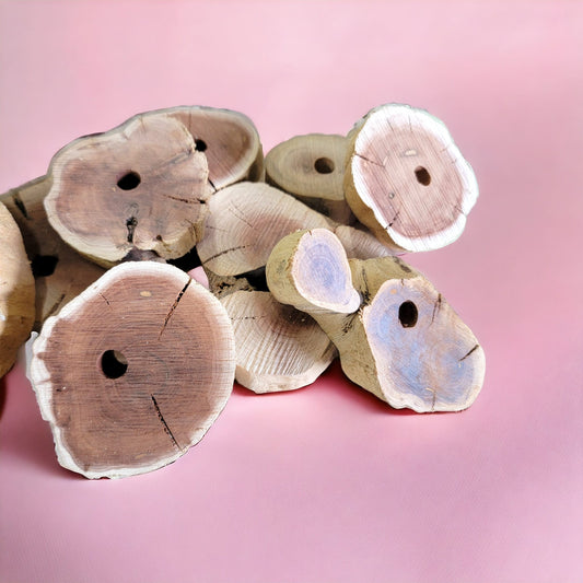 Big Manzanita Slices - 5 Pack - Hardwood Chews for Rabbits