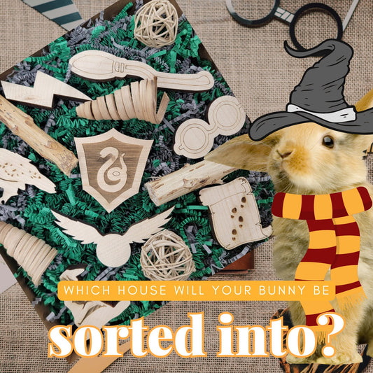 The Wizard Busy Box - "Sorted." - Fun Wizarding Activity Box for Chinchillas, Bunnies, Rabbits, Parrots, Etc.