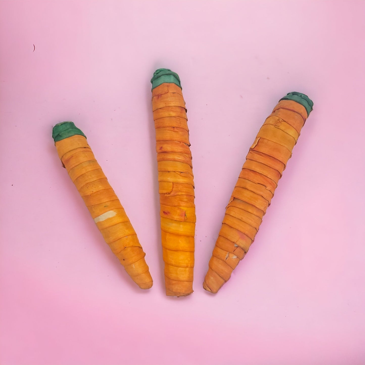 Sola Carrot Nibbler - For small pets