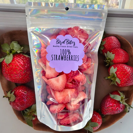 STRAWBERRIES! Preservative-Free Treats for Rabbits & Other Small Pets