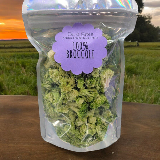 BROCCOLI! Preservative-Free Treats for Rabbits & Other Small Pets